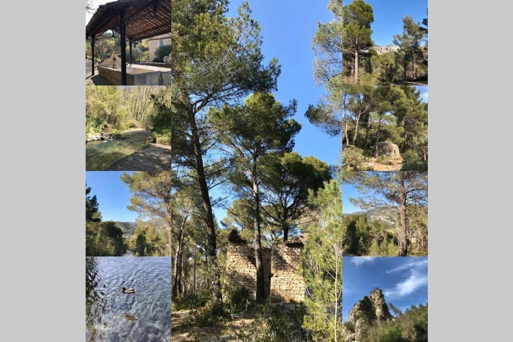 La Mansio Holiday home *
